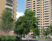 ЖК МираПарк