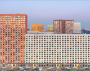 Измайловский лес